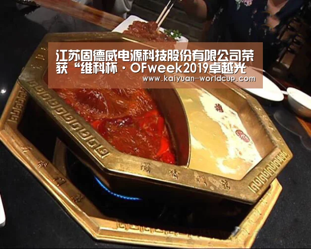 江苏固德威电源科技股份有限公司荣获“维科杯·OFweek2019卓越光伏逆变器供应商”:开元平台(图2) 开元官网
