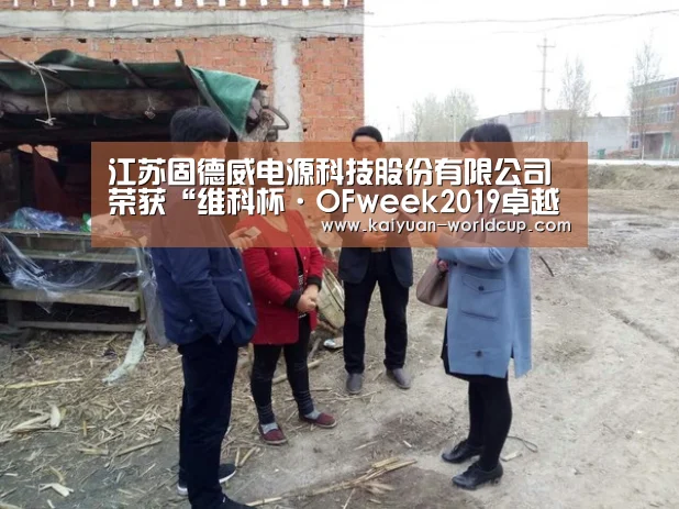 江苏固德威电源科技股份有限公司荣获“维科杯·OFweek2019卓越光伏逆变器供应商”:开元平台(图3) 开元官网