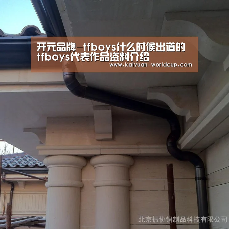 开元品牌-tfboys什么时候出道的 tfboys代表作品资料介绍(图2) 开元官网