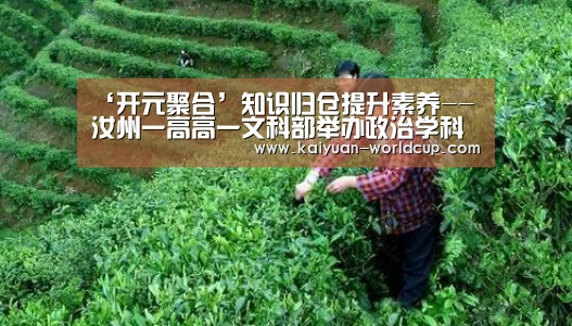 ‘开元聚合’知识归仓提升素养--汝州一高高一文科部举办政治学科思维导图竞赛(图3) 开元平台