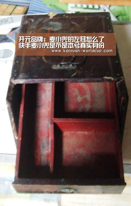 开元品牌:麦小兜的左耳怎么了 快手麦小兜是不是本兮真实身份(图3) 开元平台