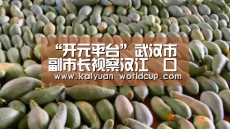 开元聚合