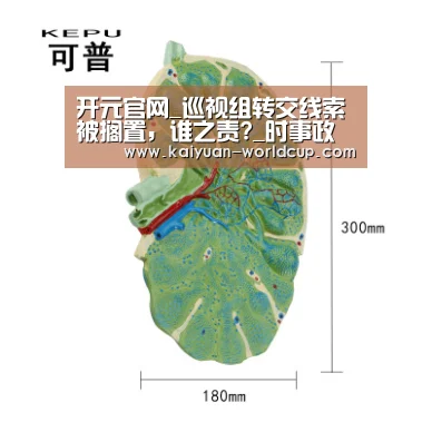 开元官网_巡视组转交线索被搁置,谁之责?_时事政治_中公教育网(图1) 开元品牌