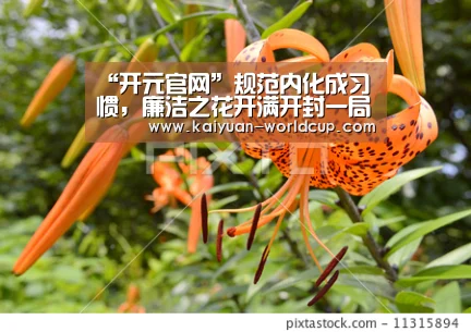 “开元官网”规范内化成习惯,廉洁之花开满开封一局(图2) 开元聚合