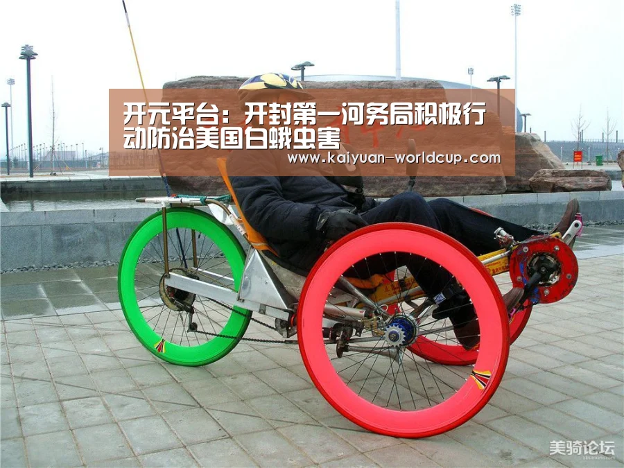 开元平台:开封第一河务局积极行动防治美国白蛾虫害(图1) 开元聚合