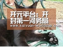 开元平台:开封第一河务局积极行动防治美国白蛾虫害(图4) 开元平台